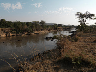 Similar image 8034628