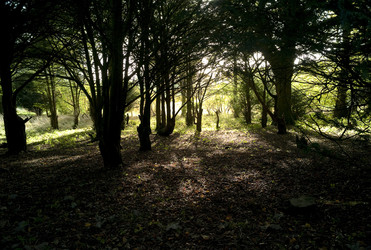 Similar image 8034632