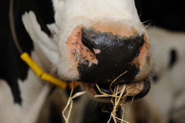 Similar image 8034636