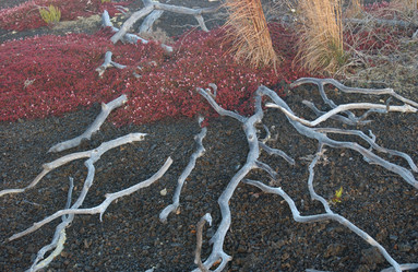 Similar image 8034639