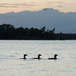 Similar image 8034644