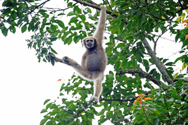 Similar image 8034653