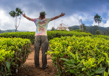 Similar image 8034670