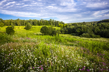 Similar image 8034676