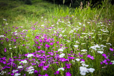 Similar image 8034678