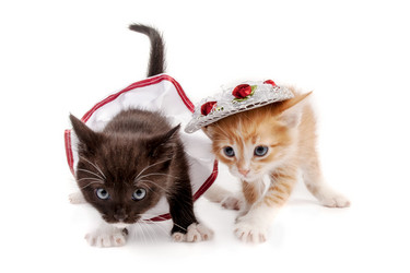 Similar image 8034683