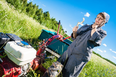 Similar image 8034689