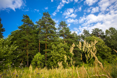 Similar image 8034696