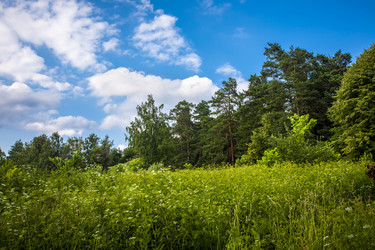 Similar image 8034697