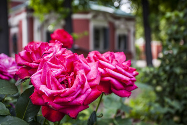 Similar image 8034699