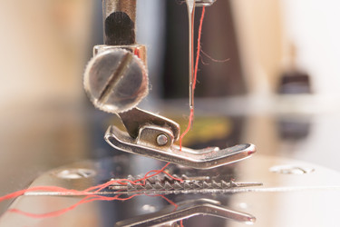 Similar image 8034725