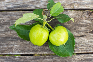 Similar image 8034726