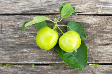 Similar image 8034727