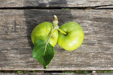 Similar image 8034739