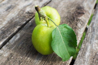 Similar image 8034740