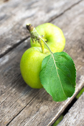 Similar image 8034751