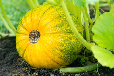 Similar image 8034752