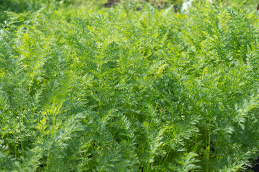 Similar image 8034753