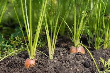 Similar image 8034754