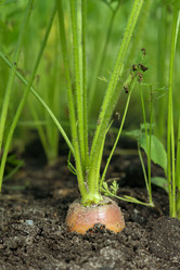 Similar image 8034755