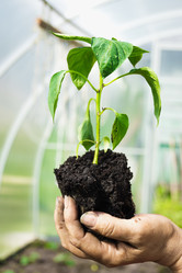 Similar image 8034758