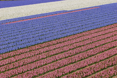 Similar image 8034760