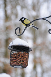 Similar image 8034767