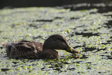 Similar image 8034780