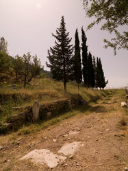 Similar image 8034787