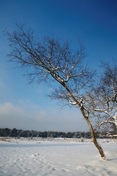 Similar image 8034791