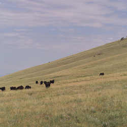 Similar image 8034794