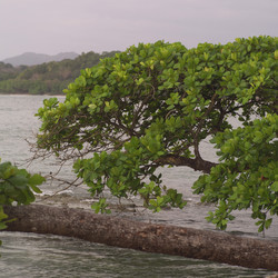 Similar image 8034798