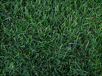 Similar image 8034803