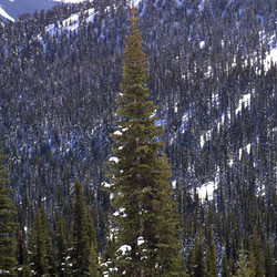 Similar image 8034822