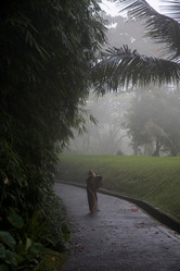 Similar image 8034824