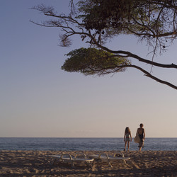 Similar image 8034825