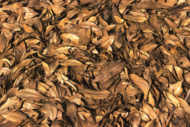 Similar image 8034827