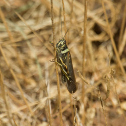 Similar image 8034832