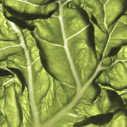 Similar image 8034836