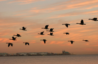 Similar image 8034840