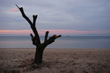 Similar image 8034846