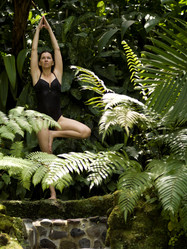 Similar image 8034857