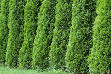 Similar image 8034858