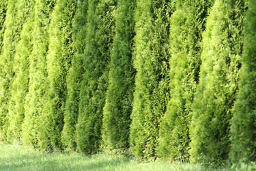 Similar image 8034867