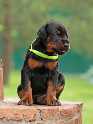 Similar image 8034971