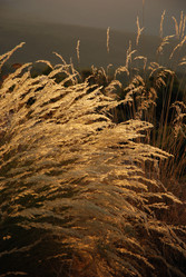 Similar image 8035090