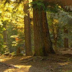 Similar image 8035091