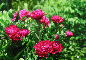 Similar image 8035120