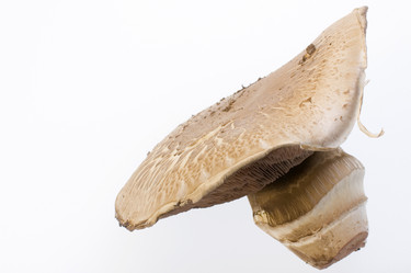 Similar image 8035150