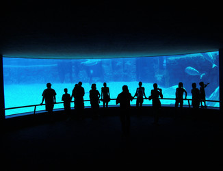 Similar image 8035153